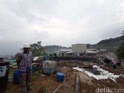 Pencemaran Limbah Pabrik Susu di Blitar, Ini Kata WALHI Jatim