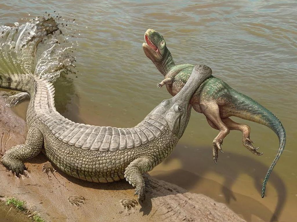 Ngeri, Ada Buaya Raksasa yang Bisa Makan Dinosaurus Ngeri, Ada Buaya Raksasa yang Bisa Makan Dinosaurus