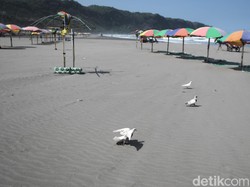 PPKM Darurat Diberlakukan, Seluruh Pantai di Bantul Tutup