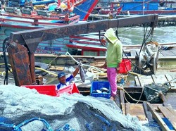 KKP Pastikan Bakal Tindak Tegas Kapal Cantrang!