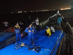 8 Kapal Pengangkut Kayu-Pasir Ilegal Ditangkap di Riau, 11 Orang Diamankan