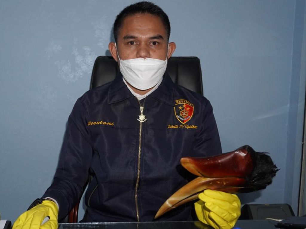 Pamer Burung Rangkong Hasil Buruan di Medsos, Pria Aceh Ditangkap Polisi Pamer Burung Rangkong Hasil Buruan di Medsos, Pria Aceh Ditangkap Polisi
