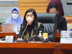 Paspampres Tarik Penerobos Rombongan Jokowi, Komisi I DPR: Sikap Waspada