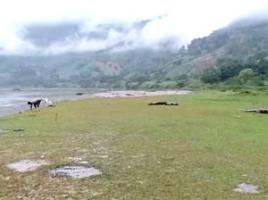 Lembah Salimbongan Belepotan Akibat Kunker Bupati Pinrang Dibersihkan