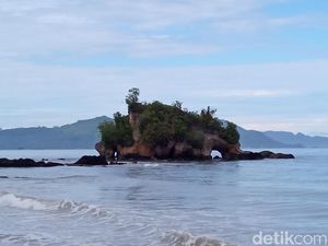 Ada Gajah Tapi di Tengah Laut