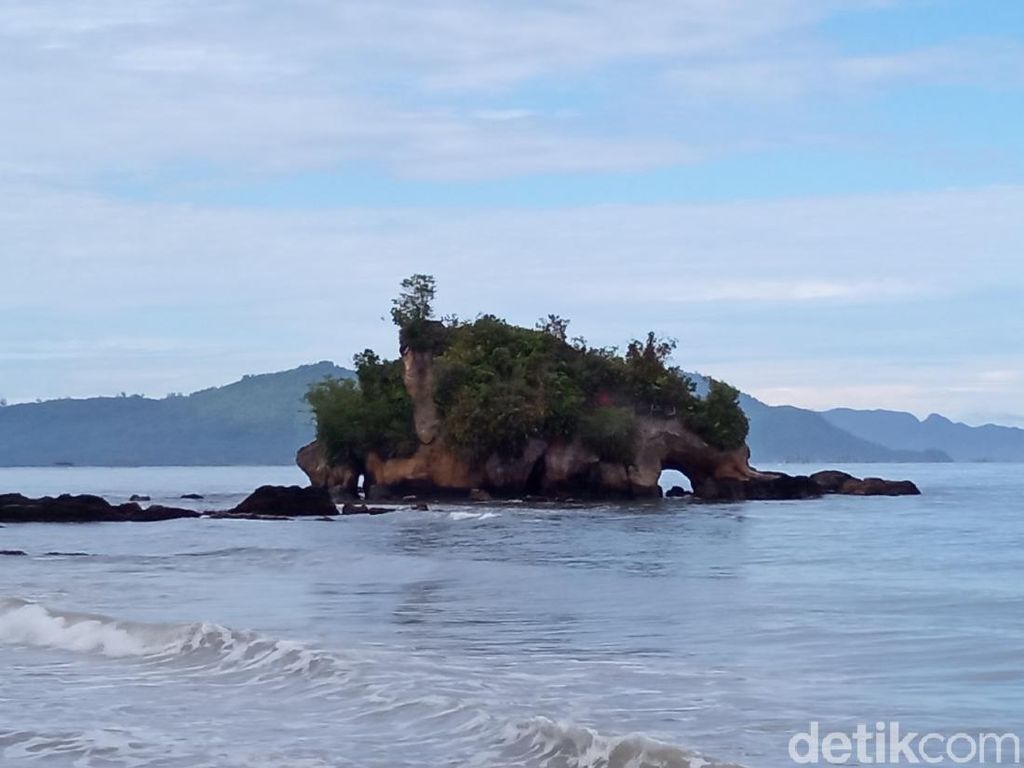 Ada Gajah Tapi di Tengah Laut Ada Gajah Tapi di Tengah Laut