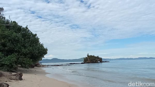 Foto Gajah di Tengah Lautan