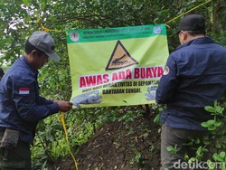 Ada Penampakan Buaya di Bengawan Solo, Banner Peringatan Dipasang