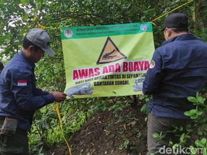 Ada Penampakan Buaya di Bengawan Solo, Banner Peringatan Dipasang Ada Penampakan Buaya di Bengawan Solo, Banner Peringatan Dipasang