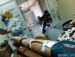 Syarat Donor Plasma Konvalesen COVID-19, Lagi Banyak Banget yang Cari