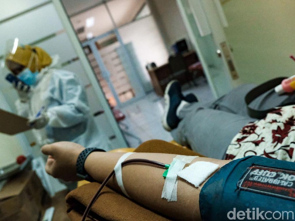 Syarat Donor Plasma Konvalesen COVID-19, Lagi Banyak Banget yang Cari Syarat Donor Plasma Konvalesen COVID-19, Lagi Banyak Banget yang Cari
