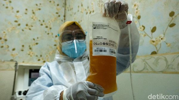 Corona Merajalela, Permintaan Plasma Konvalesen Meningkat