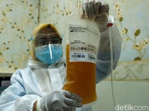 Berdarah-darah Demi Pasien COVID-19, Donor Plasma Konvalesen