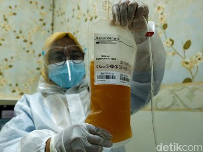 Corona Merajalela, Permintaan Plasma Konvalesen Meningkat