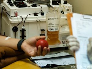 Pengalaman Donor Plasma Konvalesen COVID-19, Ternyata Tak Semudah yang Dikira Pengalaman Donor Plasma Konvalesen COVID-19, Ternyata Tak Semudah yang Dikira