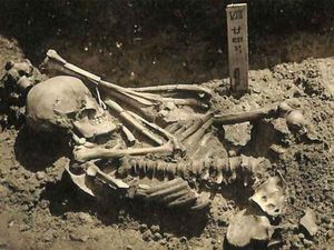 Ini Korban Serangan Hiu Tertua, Usianya 3.000 Tahun Ini Korban Serangan Hiu Tertua, Usianya 3.000 Tahun