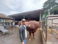 Pandemi COVID-19, Pedagang Hewan Kurban di Bandung Barat Masih Cuan