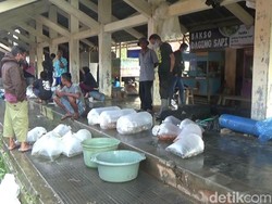 Bahu Membahu Amankan Stok Oksigen, RS Sampai Minta Tolong Pedagang Ikan