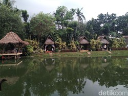 Asyik! Di Sini Bisa Makan Sambil Mancing Ikan Lele hingga Gurame