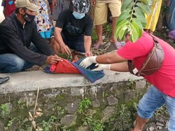 Asyik Bermain, Dua Bocah Temukan Mayat Bayi di Sungai Jombang