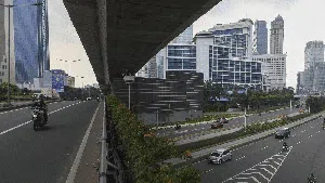 PPKM Darurat, Jalan Panjang Meredam Corona