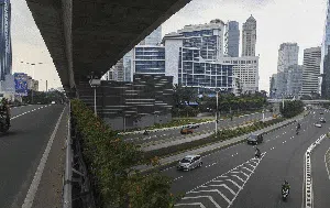PPKM Darurat, Jalan Panjang Meredam Corona