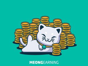 MeongToken Gandeng LSM HARI dan Mountrash
