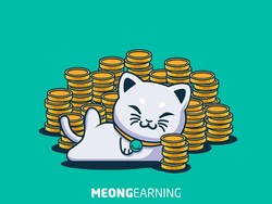 MeongToken Gandeng LSM HARI dan Mountrash