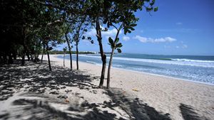 Pantai Kuta Perawan Lagi