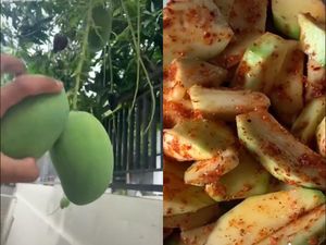 PPKM Darurat, Ini 5 Tren Kuliner di TikTok yang Bisa Kamu Coba di Rumah PPKM Darurat, Ini 5 Tren Kuliner di TikTok yang Bisa Kamu Coba di Rumah
