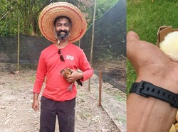 Karena Pandemi, Pramugara Ini Ganti Profesi Jadi Peternak Ayam dan Ikan