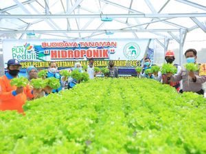 Bantu Petani Lewat Electrifying Agriculture, PLN Salurkan Rp 4,8 M