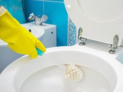 Cara Vixal Dukung Kebersihan Toilet untuk Genjot Pariwisata Indonesia