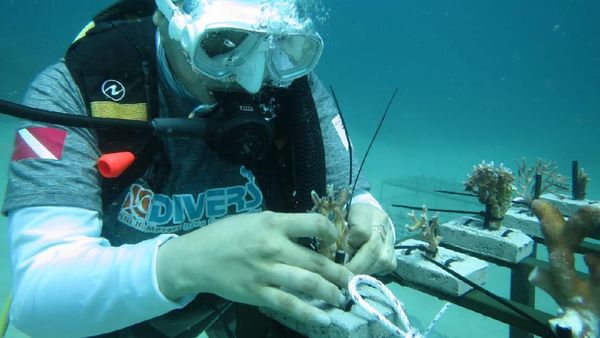 Aksi Peduli Lingkungan Sambut HUT ke-75 BNI