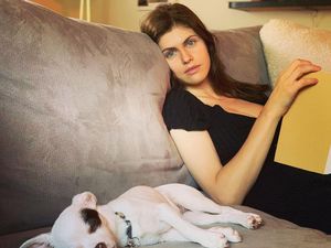 10 Potret Alexandra Daddario, Bintang Baywatch yang Doyan Bekam