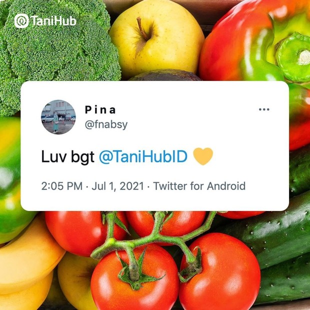Aplikasi belanja online TaniHub