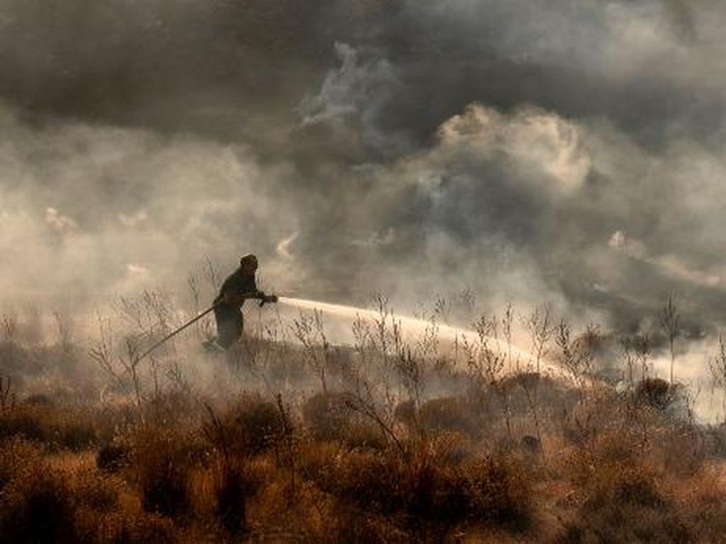 Jejak Mengerikan Kebakaran Hutan di Siprus Jejak Mengerikan Kebakaran Hutan di Siprus