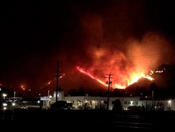 Ganasnya Gelombang Panas di Kanada: 700 Orang Tewas, 130 Hutan Terbakar