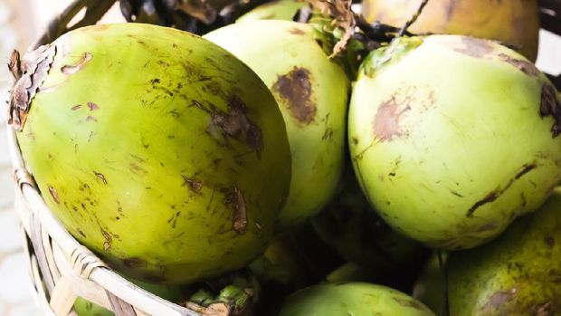 Green Fresh Coconuts in Woven Basket.