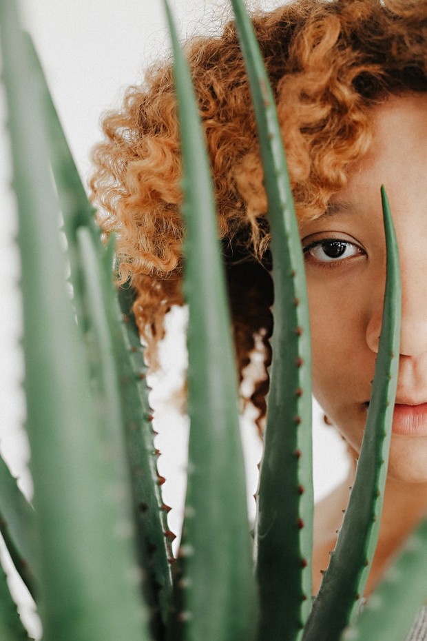 Lidah buaya bermanfaat untuk kulit (foto: pexels.com/daria shevtsova)