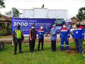 Pertamina Bagikan 3.000 Bibit Alpukat ke Warga Ulubelu