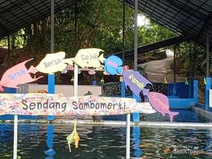 Yang Segar di Sleman, Kolam Sendang Sombomerti Yang Segar di Sleman, Kolam Sendang Sombomerti