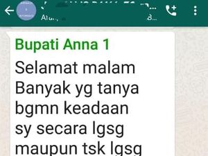 Bupati Bojonegoro Merasa Baik-baik Saja Meski Terpapar COVID-19 Bupati Bojonegoro Merasa Baik-baik Saja Meski Terpapar COVID-19