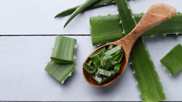 Cara menumbuhkan rambut dengan cepat dapat dilakukan secara rutin menggunakan masker melalui bahan alami.