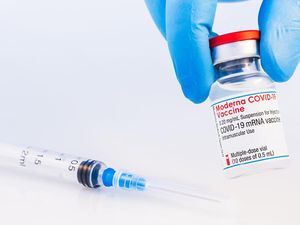 Kenali Vaksin Moderna yang Sudah Dapat Izin dari Badan POM