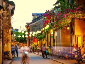 Hoi An, Kota Bersejarah di Vietnam, Akan Setop Konsumsi Daging Anjing Hoi An, Kota Bersejarah di Vietnam, Akan Setop Konsumsi Daging Anjing