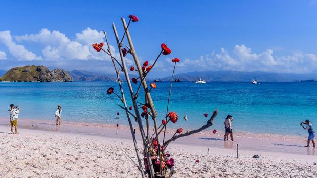 Tourists enjoy Pink Beach, East Nusa Tenggara.  BETWEEN PHOTOS/Rivan Awal Lingga