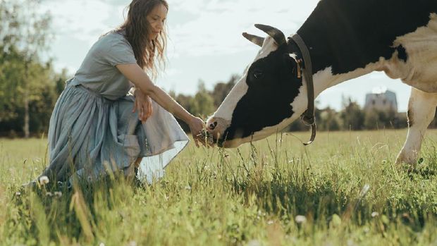 Berkat PPKM darurat bisa berhemat untuk kurban/Foto: pexels.com/cottonbro