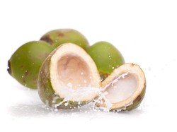 BGN Setop Sementara 9 Dapur MBG di Gresik Gegara Sajikan Kelapa Utuh