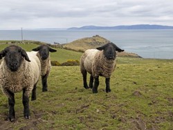 Inggris Mimpi Punya Jembatan Paling Ambisius di Dunia